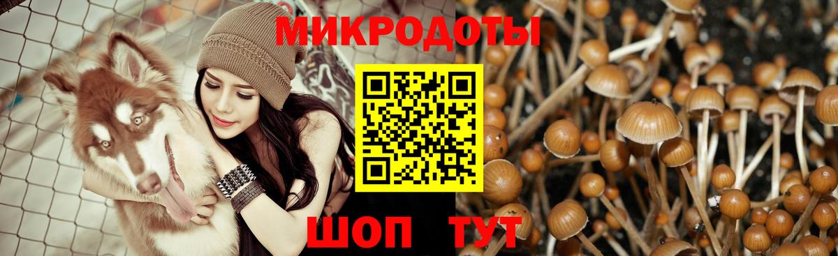Анапа  Псилоцибиновые грибы ЛСД  Вход с VPN 