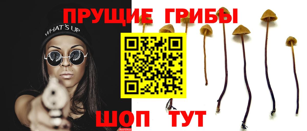 Псилоцибиновые грибы прущие грибы Анапа