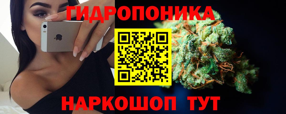 Бошки марихуана планчик Анапа